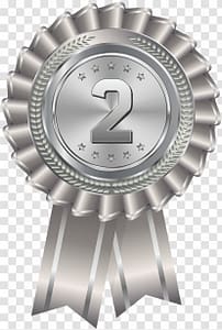 Silver Medal